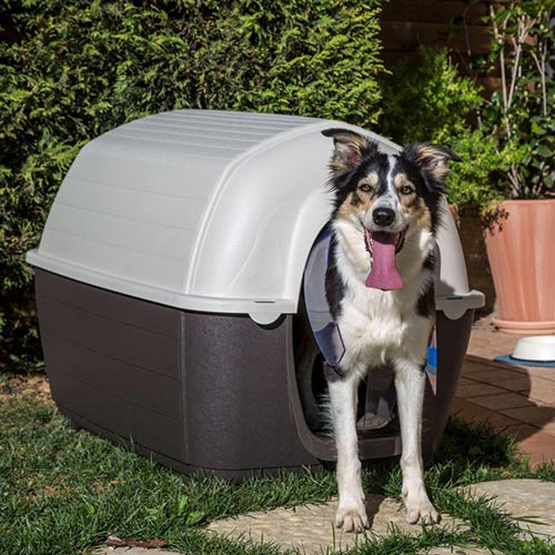 Nicchia per cani in plastica Kenny funzionamento ...