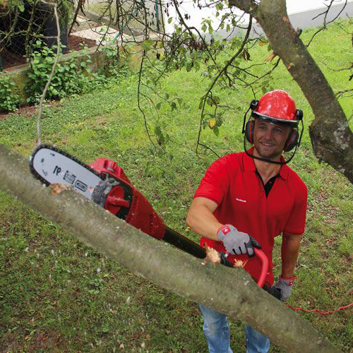 Potatore telescopico Einhell GC-EC 750 T funzionamento taglio rami ...