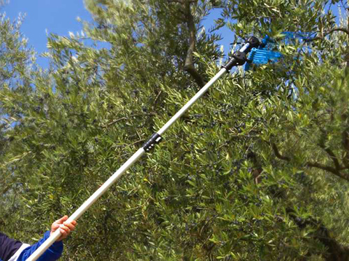 Scuotitore per Olive con asta telescopica funzionamento ...