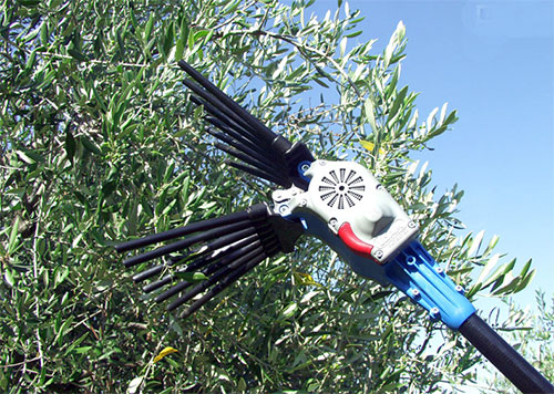 Scuotitore pneumatico per raccolta olive funzionamento raccolta ...