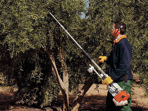 Scuotitore professionale Stihl utilizzo funzionamento macchina raccolta olive ...