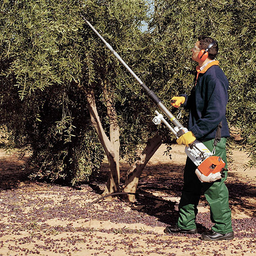 Scuotitore professionale Stihl SP 401 utilizzo macchina olive ...