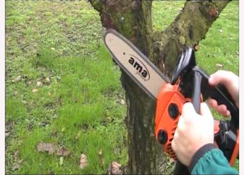 mini motosega rossa taglio alberi ...
